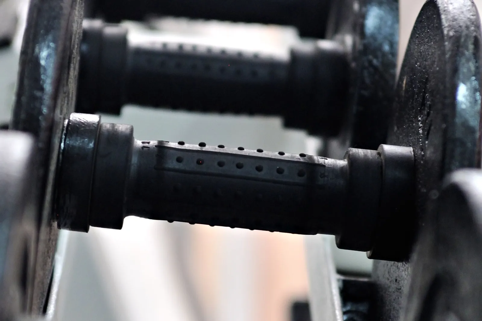 Spor salonunda rafa dizilmiş dambıl takımı